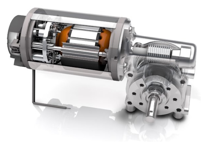 Worm Gear Motors