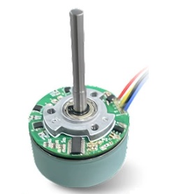 small brushless motor
