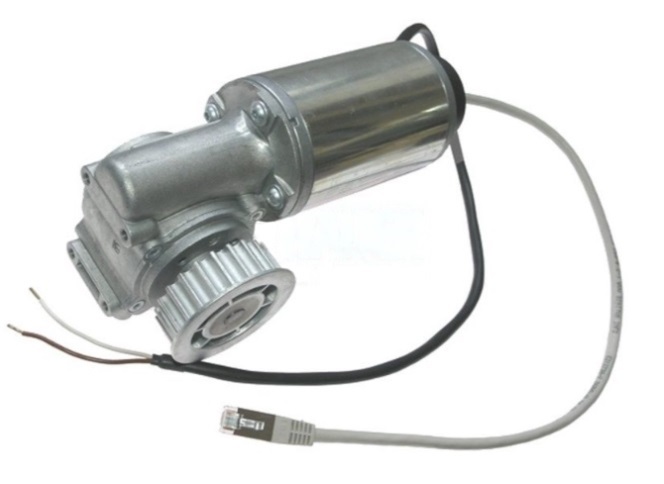 Worm Gear Motor