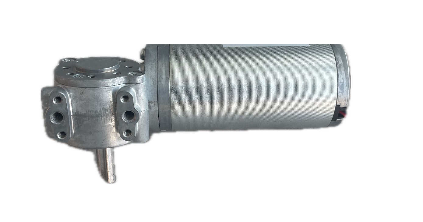 Worm Gear Motor