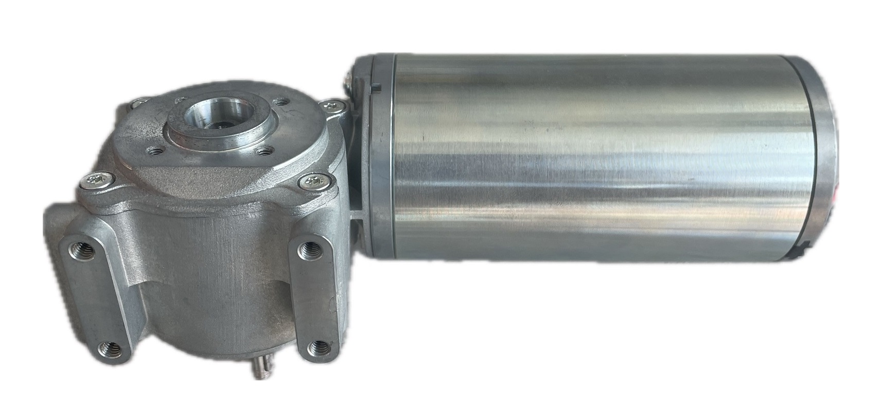 Worm Gear Motor