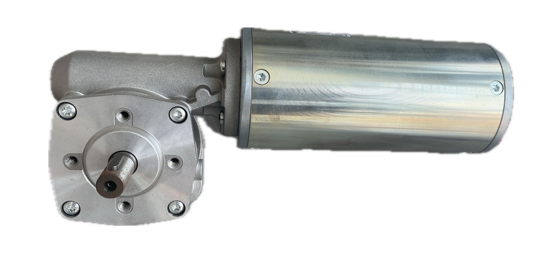 Worm Gear Motor